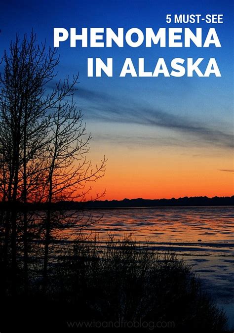 Must See Phenomena In Alaska Alaska Visit Alaska Phenomena