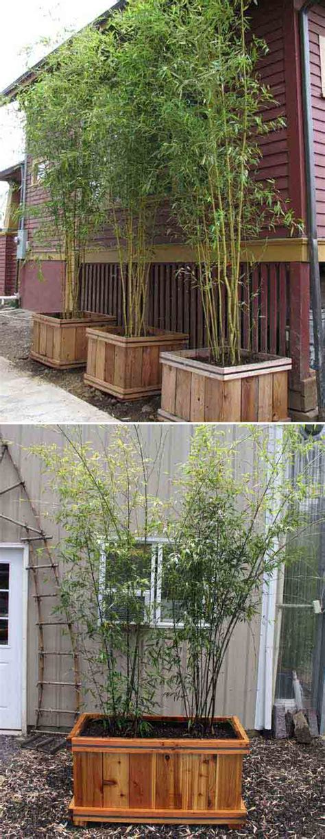 Bamboo is an exotic plant that can be seen in many gardens. 15+ Fantastic DIY Bamboo Creatively For Your Garden