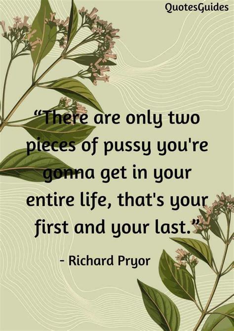 40 Funny Pussy Quotes That Make You Feel Laugh