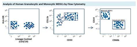 Using Flow Cytometry To Characterize Myeloid Derived Suppressor Cells