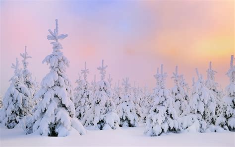 Winter Theme Background 45 Pictures