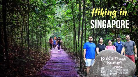 bukit timah nature reserve hiking in singapore after circuit breaker youtube