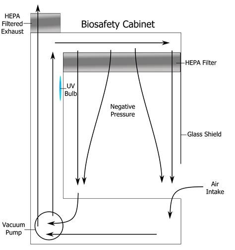 Biosafety Cabinet — Neosynbio