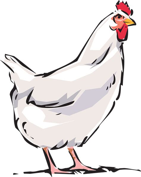 Chicken Png Clipart 20 Free Cliparts Download Images On Clipground 2023