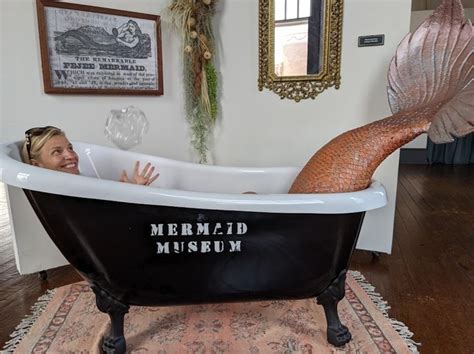 Mermaid Museum A Maryland Museum To Learn About Mermaids