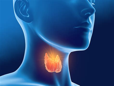 Could Your Thyroid Be The Cause Of Your Digestive Woes — Genesis