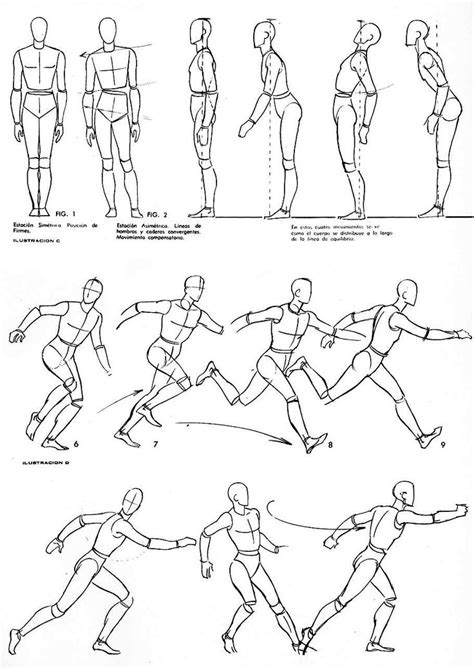 Movement Movement Drawing Figure Drawing Poses Figure Drawing