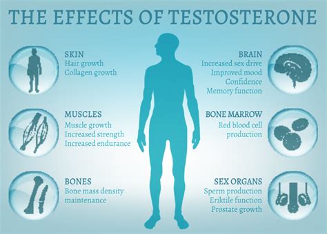 Is Testosterone Replacement Therapy Safe Ehormones Md