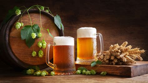 The Historic Difference Between Ale And Beer