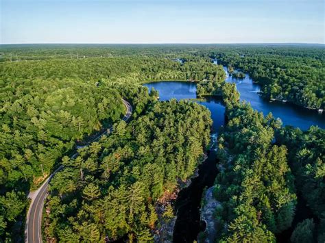 5 Types Of Forests In Ontario Naturenibble