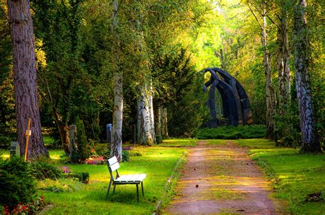 10 Wonderful Woodland Walks In Flanders