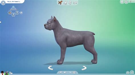 Sims 4 Cats And Dogs Making A Cane Corso Youtube