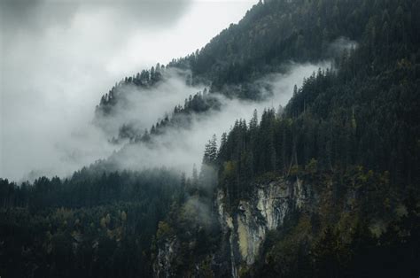 5794x3844 Rocky Mountains Dense Mist Tree Alpine Forest Adventure