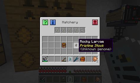 Minecraft bees are relatively simple to breed. Modjo Minecraft: Bee Genetics: Modifying Bees to have ...