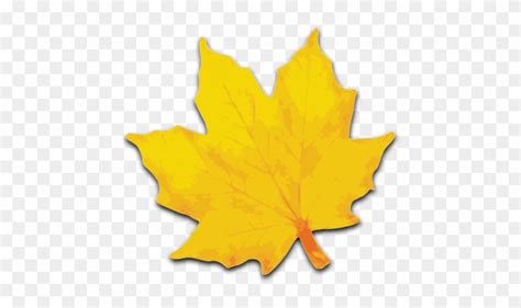 Free Yellow Leaves Clip Art Yellow Maple Leaf Clip Art Free