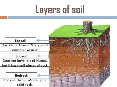 ­loam is a combination of clay, silt, sand and organic matter, and is the best and easiest soil to work with. What are some types of soil