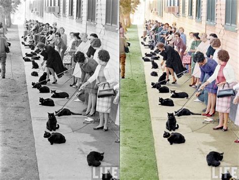 27 Photos That Have Been Recolored And Brought Back To Life Old