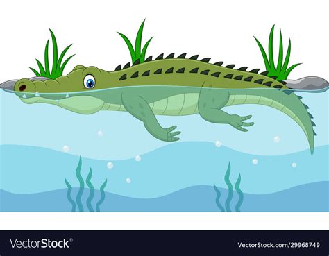 Cartoon Green Crocodile Swimming In River Vector Image