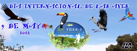 Ser Tierra 9 De Mayo Día Internacional De Las Aves