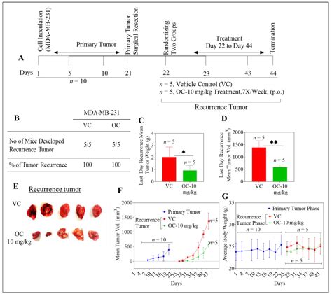 Cancers Free Full Text Oleocanthal Prevents Breast Cancer Locoregional Recurrence After