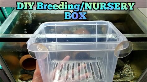 Diy Guppy Fish Breeding Box Nursery Box For Livebearers And Egg Layers