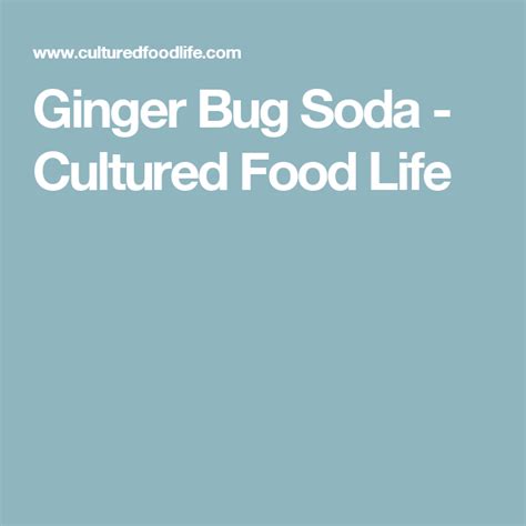 Ginger Bug Soda Recipe Ginger Bug Healthy Soda Ginger
