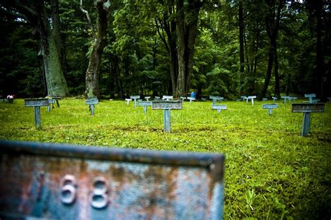 Americas Abandoned Insane Asylum Cemeteries Atlas Obscura Abandoned