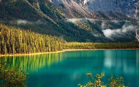 Yoho National Park Trees Emerald Lake Lake Canada Mountains Hd