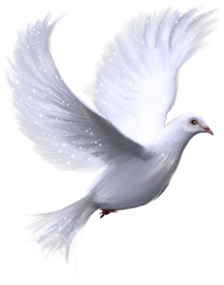 White Dove Background Design Png Transparent Background Free Download