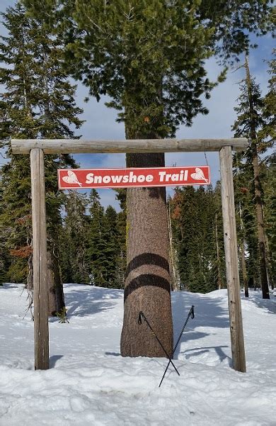 Lake Tahoe Snowshoeing Offers Variety And Solitude Snowshoe Magazine