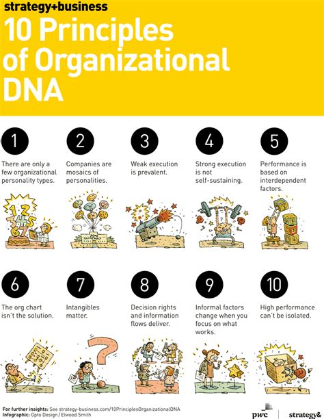 The 10 Principles Of Organizational Dna