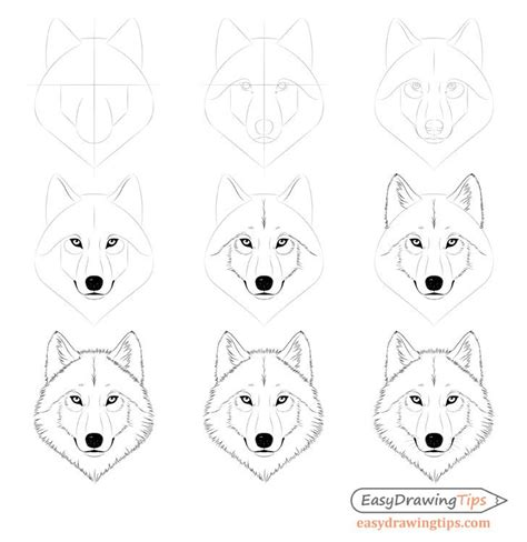 How To Draw A Wolf Step By Step Mara Ellington