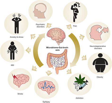 The Microbiota Gut Brain Axis Physiological Reviews
