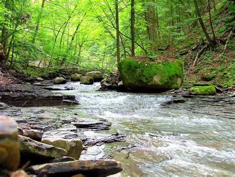 Wesley Hill Nature Preserve Finger Lakes Land Trust
