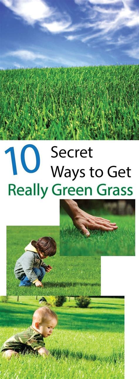 How To Get And Keep Your Grass Green Making Diy Fun Green Grass