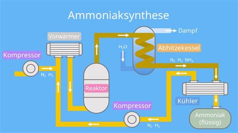 Haber Bosch Verfahren Ammoniaksynthese Reaktionsverlauf Mit Video