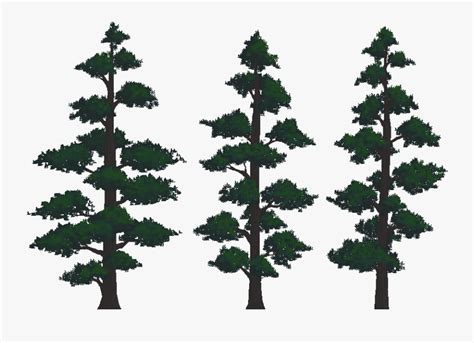 Clip Art Pine Tree Mountain Trees And Mountains Png Free