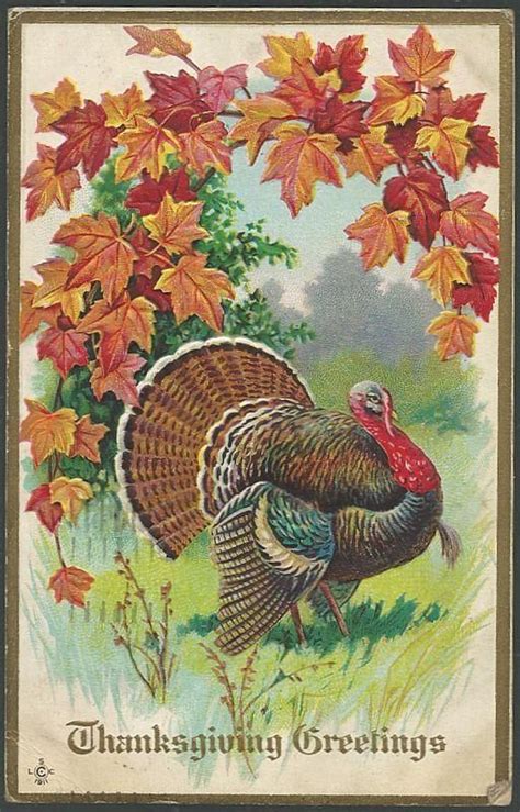 Thanksgiving Greetings Postcard With Turkey Surrounded With Fall