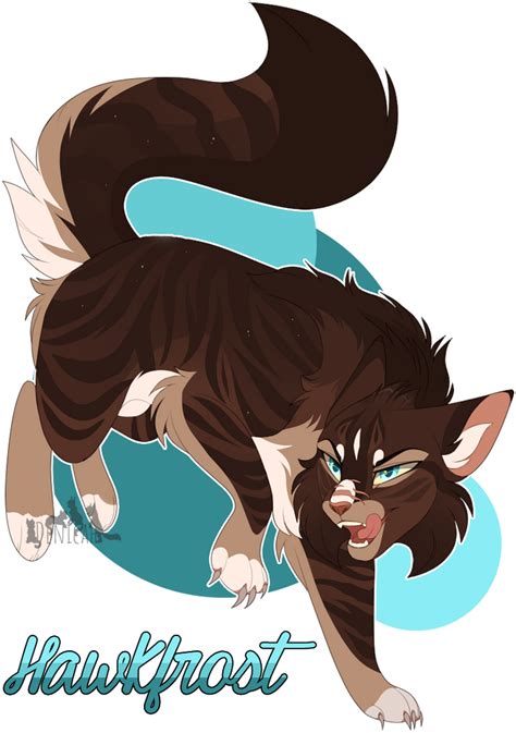 Hawkfrost Warriors Cats 6100 By Denicah On Deviantart Warrior Cats Warrior Cats Fan Art