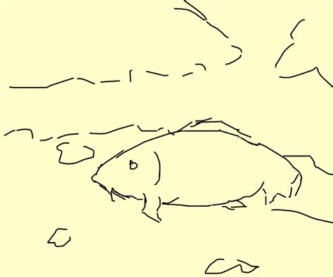A Handsome Fish Man Goes On A Nice Stroll Drawception