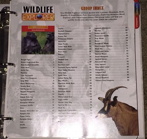 Wildlife Explorer Complete Set