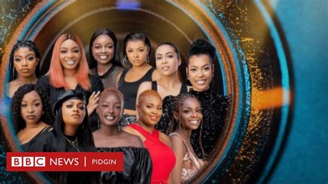Big Brother Naija 2021 Housemates Profile And Names Meet Di Female
