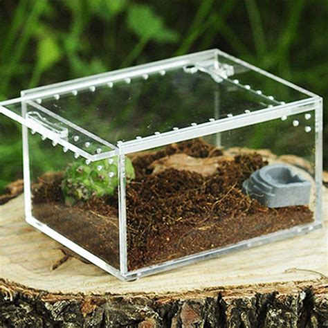 Buy Clear Reptile Breeding Box Small Acrylic Terrarium Full View Visually With Sliding Design