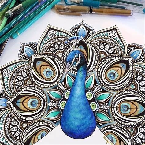 Pin By Katie Karl On Art Peacock Art Peacock Drawing Bird Drawings