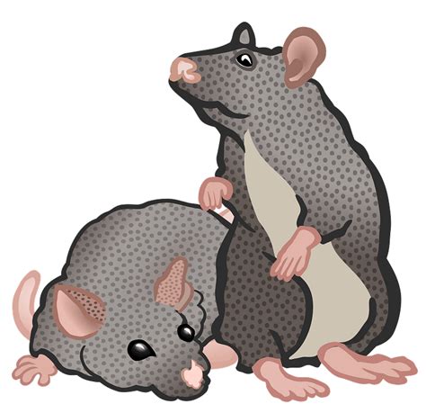 Two Mice In Color Clipart Free Download Transparent Png Creazilla