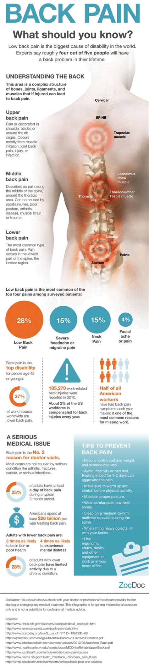 20 Interesting Infographics On Back Pain Infographics