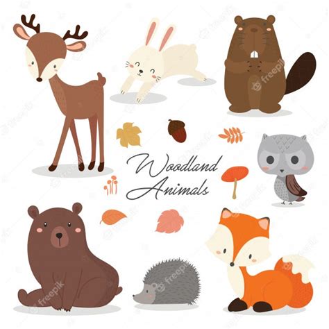 Set Of Cute Illustration Of Woodland Animals Vector