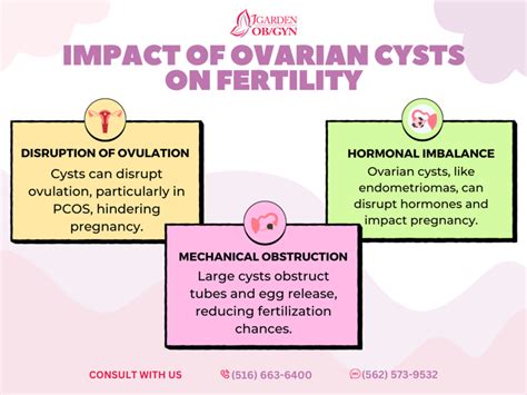 Truths About Ovarian Cysts And Fertility Garden Obgyn Obstetrics
