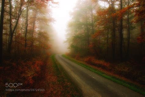 Photograph Mysterious Road By István Ponty On 500px