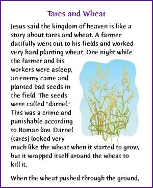 They have permitted me to share photos. Tares and Wheat (Jesus' Parable) - Kids Korner - BibleWise